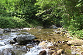 p1050500.jpg