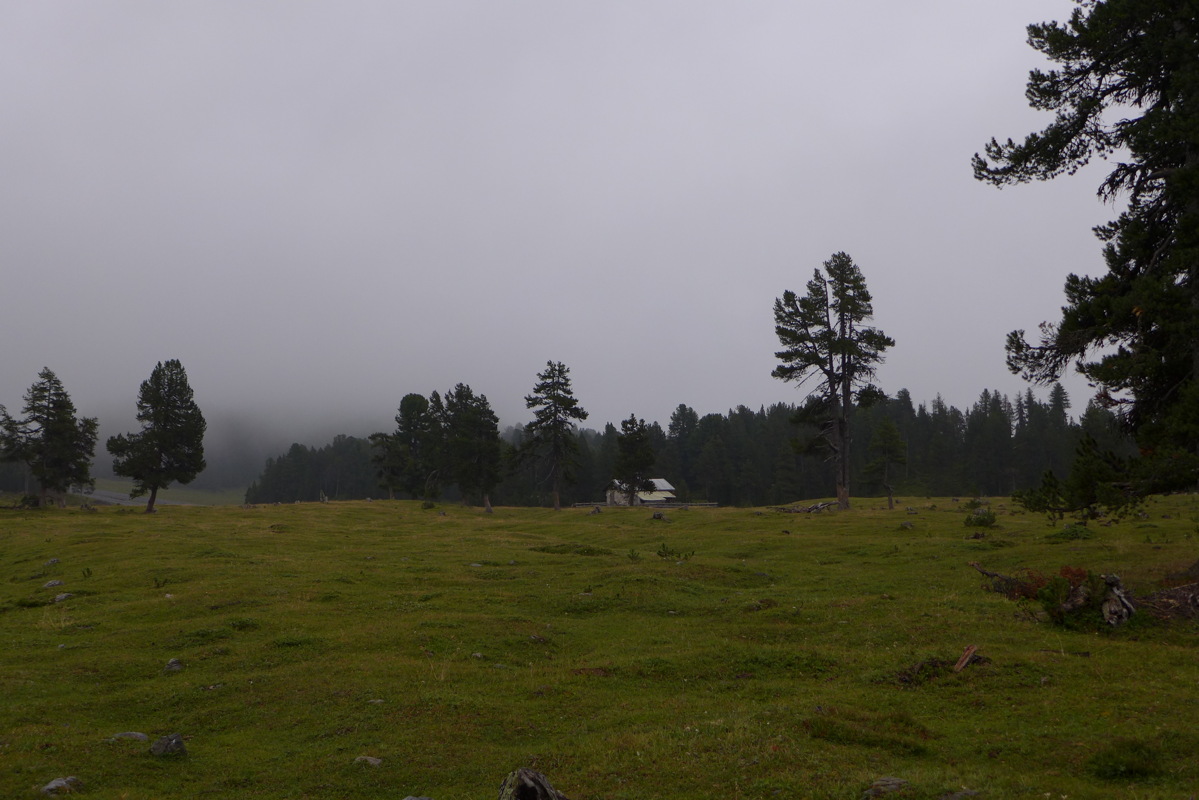 p1050631.jpg