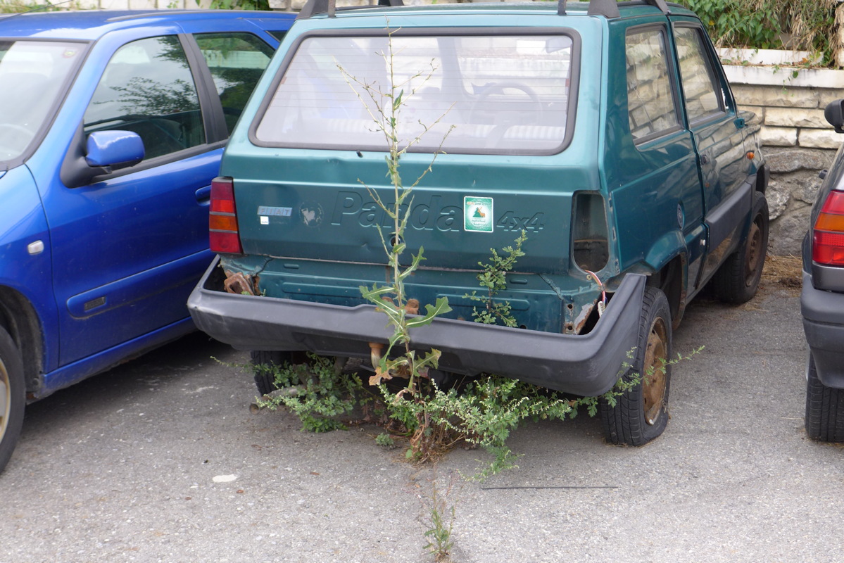 p1050675.jpg