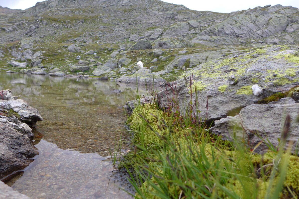 p1050693.jpg