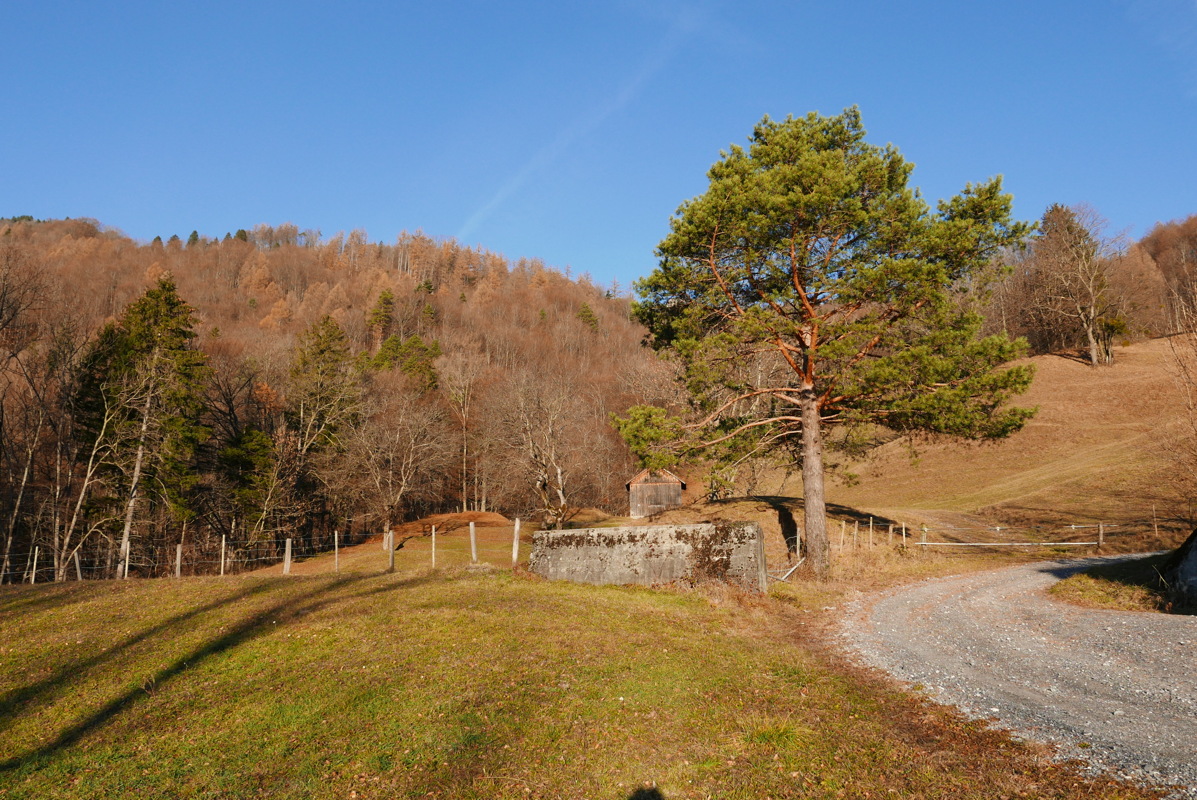 p1080559_3.jpg