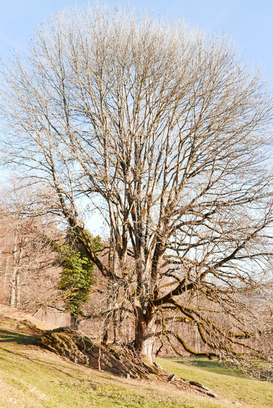 p1080561.jpg