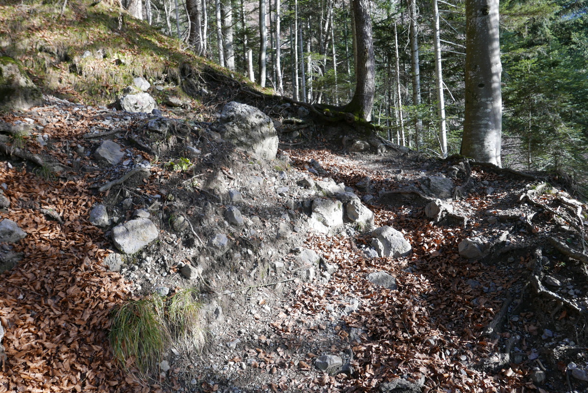 p1080590.jpg
