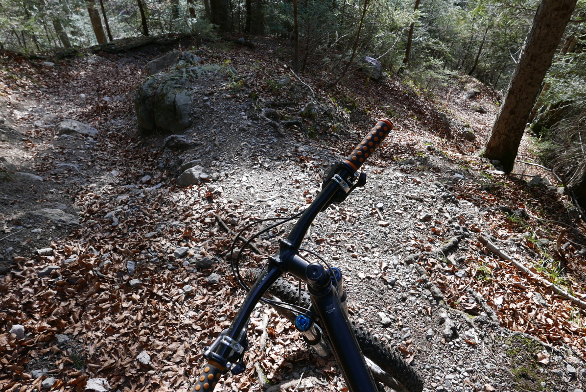 p1080591.jpg