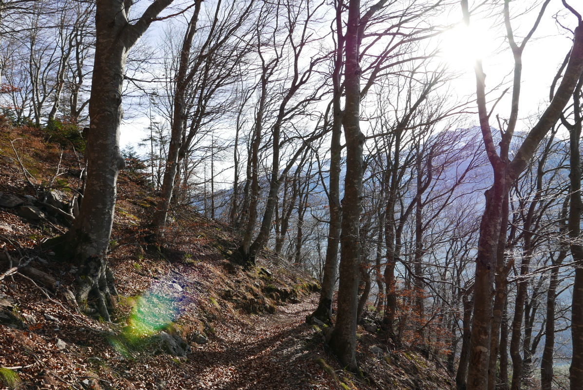 p1080593.jpg