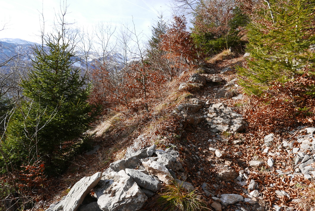 p1080594.jpg