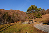 p1080559_3.jpg
