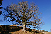 p1080566.jpg