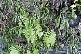 p1080570.jpg