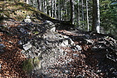 p1080590.jpg