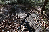 p1080591.jpg