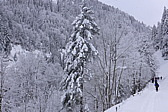 p1030886.jpg