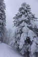 p1030887.jpg