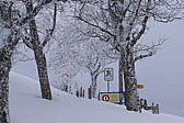p1030888.jpg