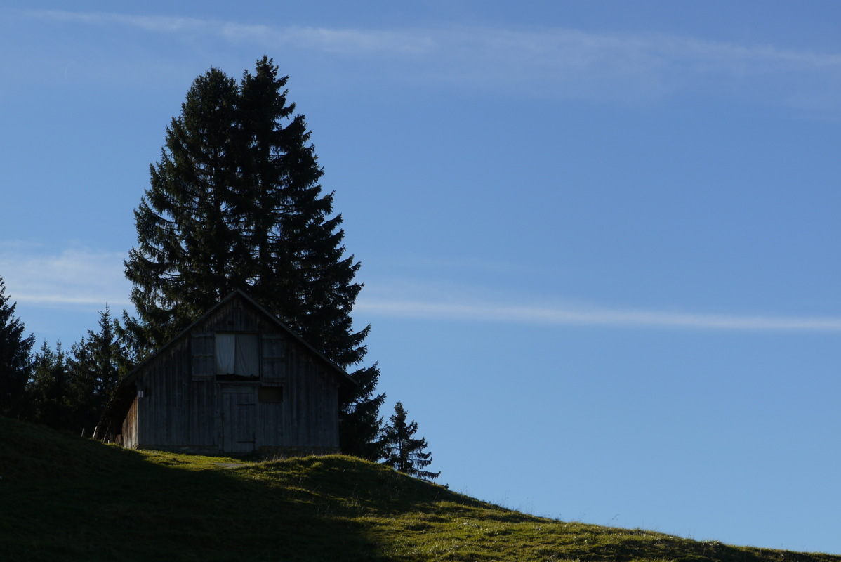 p1020757.jpg