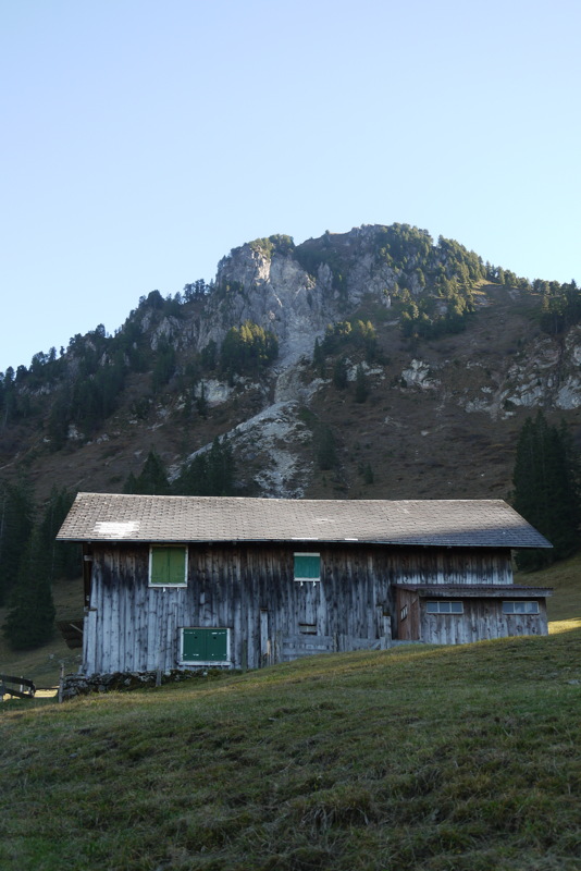 p1020758.jpg