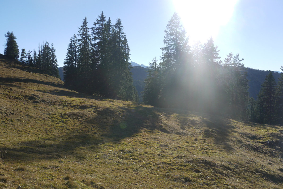 p1020762.jpg