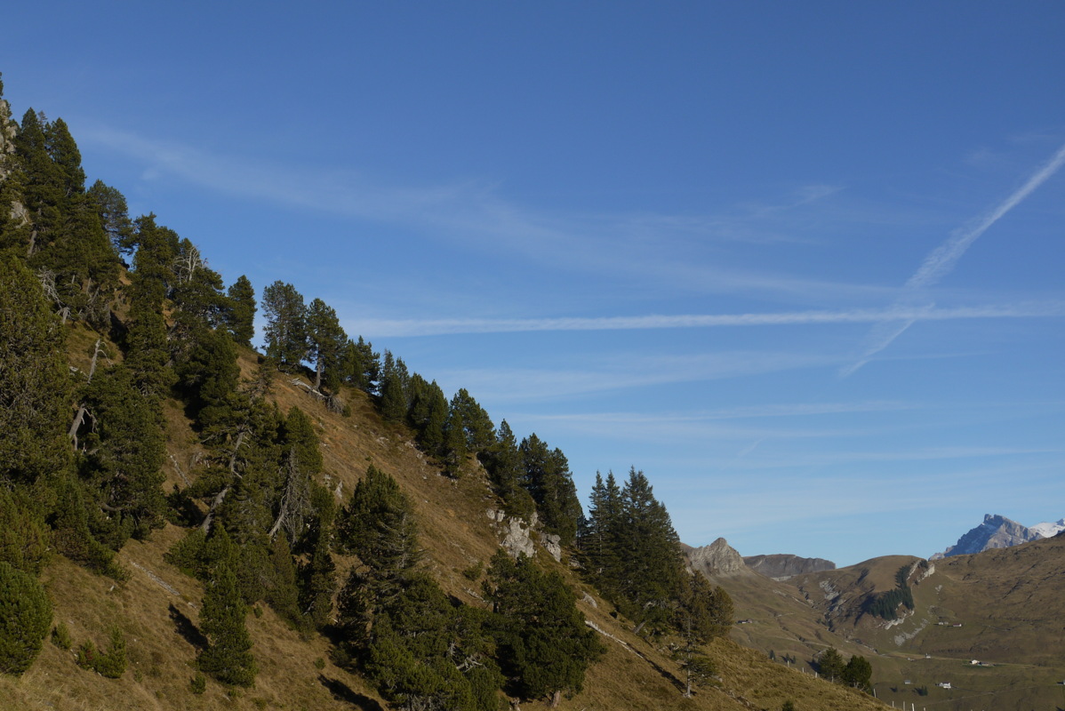 p1020771.jpg