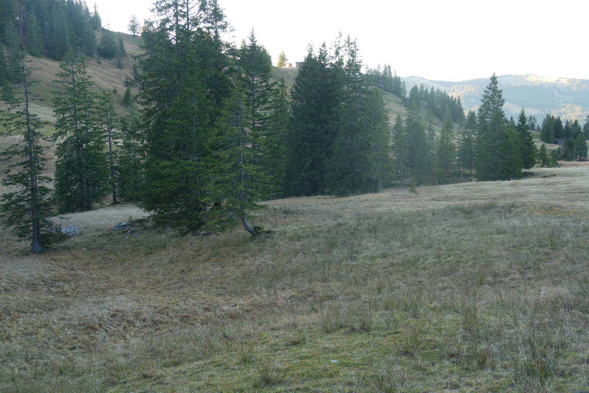 p1020778.jpg