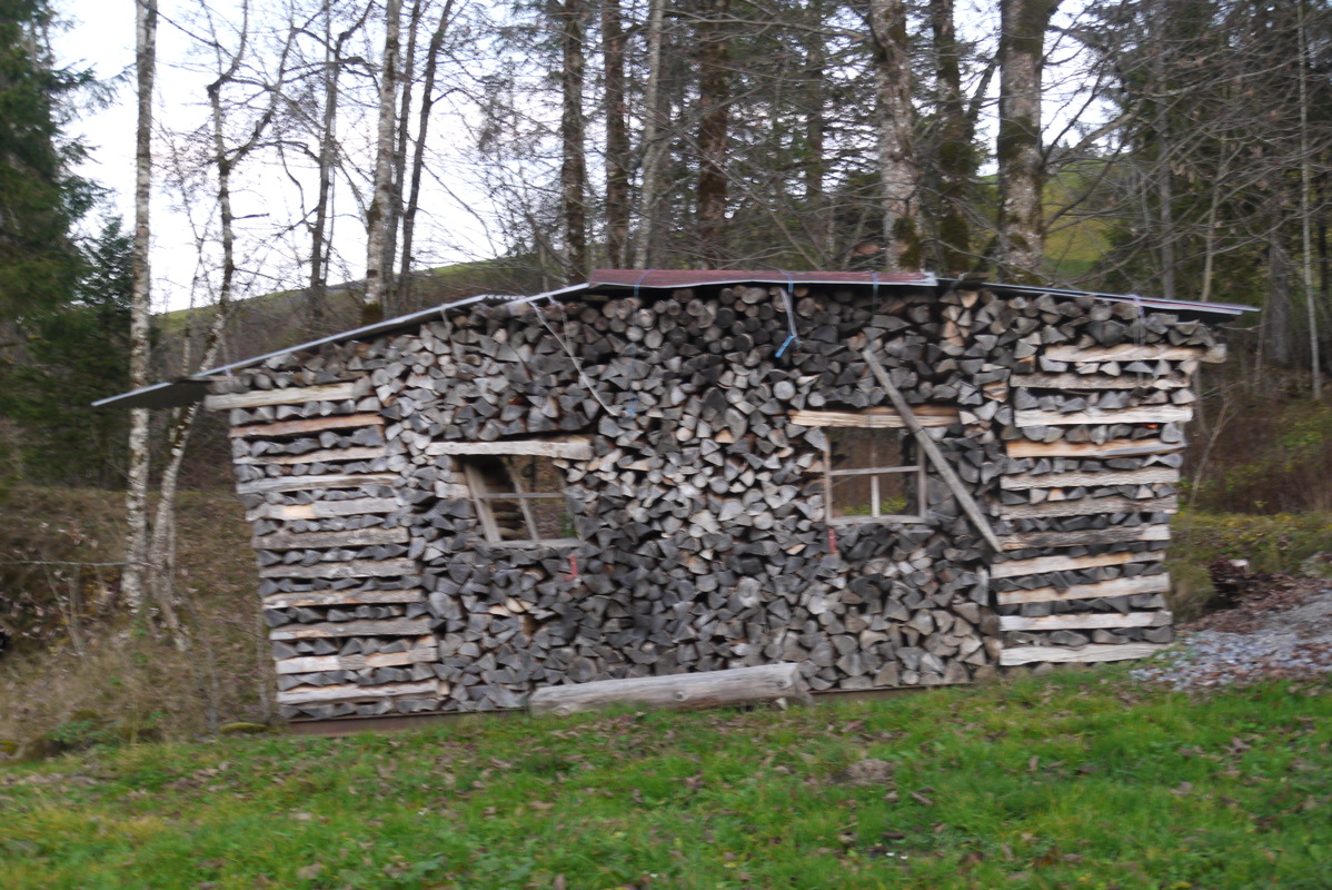 p1020781.jpg