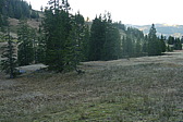 p1020778.jpg