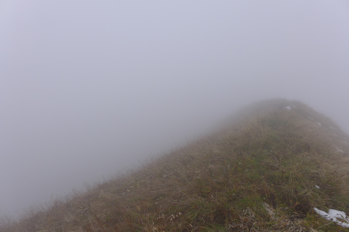 p1060059.jpg