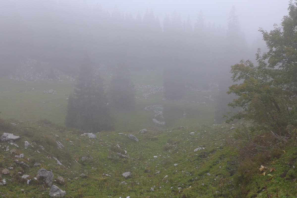 p1060061.jpg