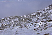 p1060056.jpg