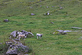 p1060065.jpg