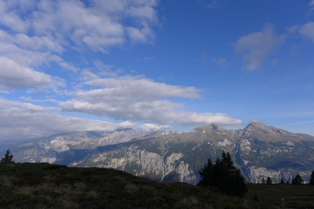 p1060006.jpg