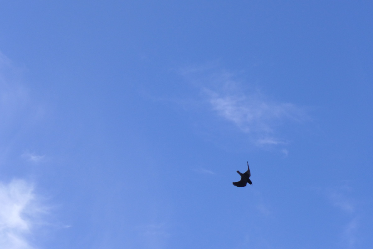 p1060025.jpg