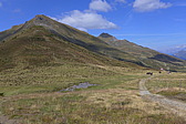 p1060029.jpg