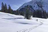 p1040033.jpg