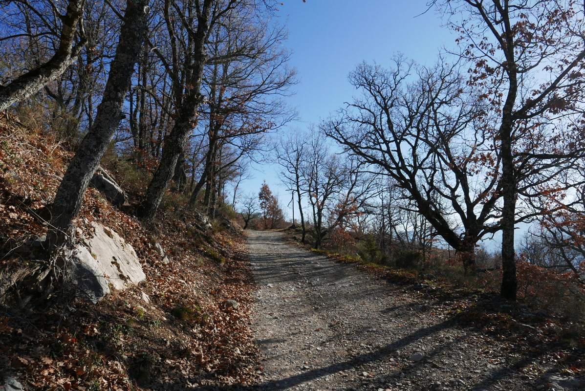 p1080765.jpg