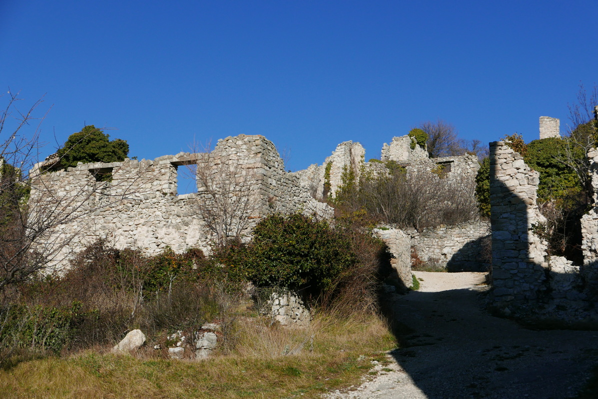 p1080767.jpg
