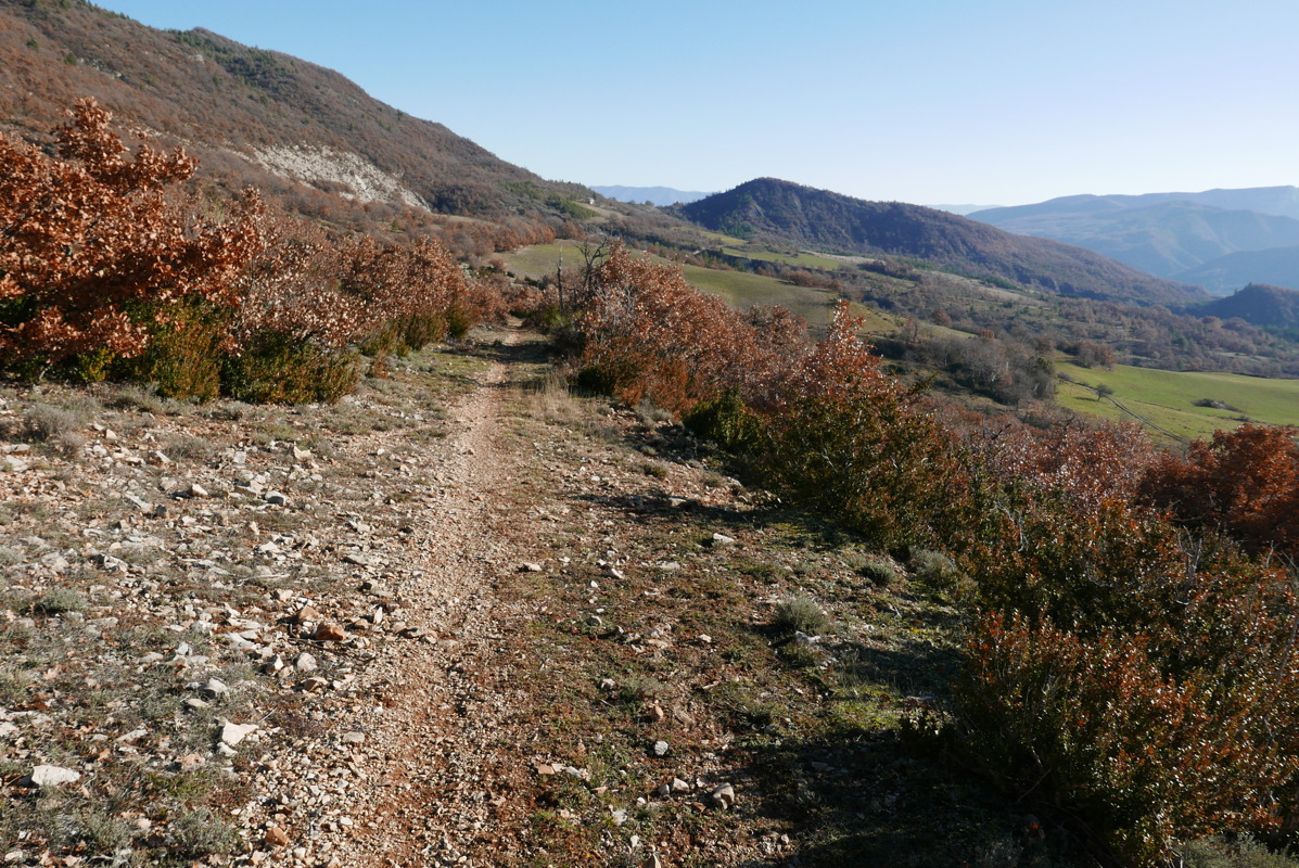 p1080769.jpg