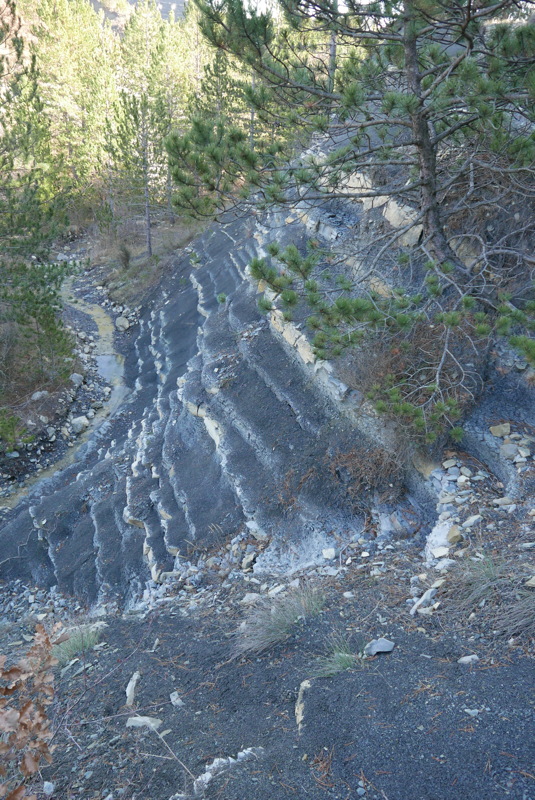 p1080773.jpg