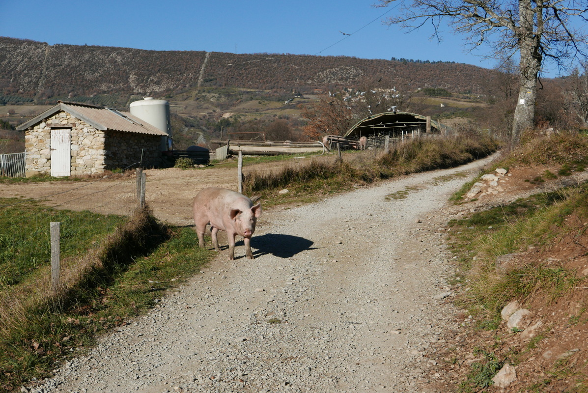 p1080780.jpg