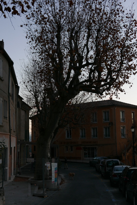 p1080792.jpg