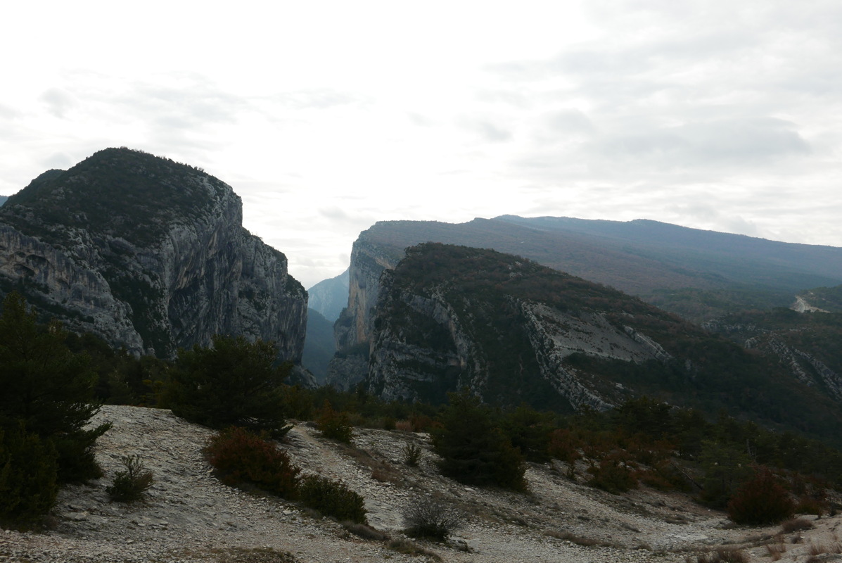 p1080832.jpg