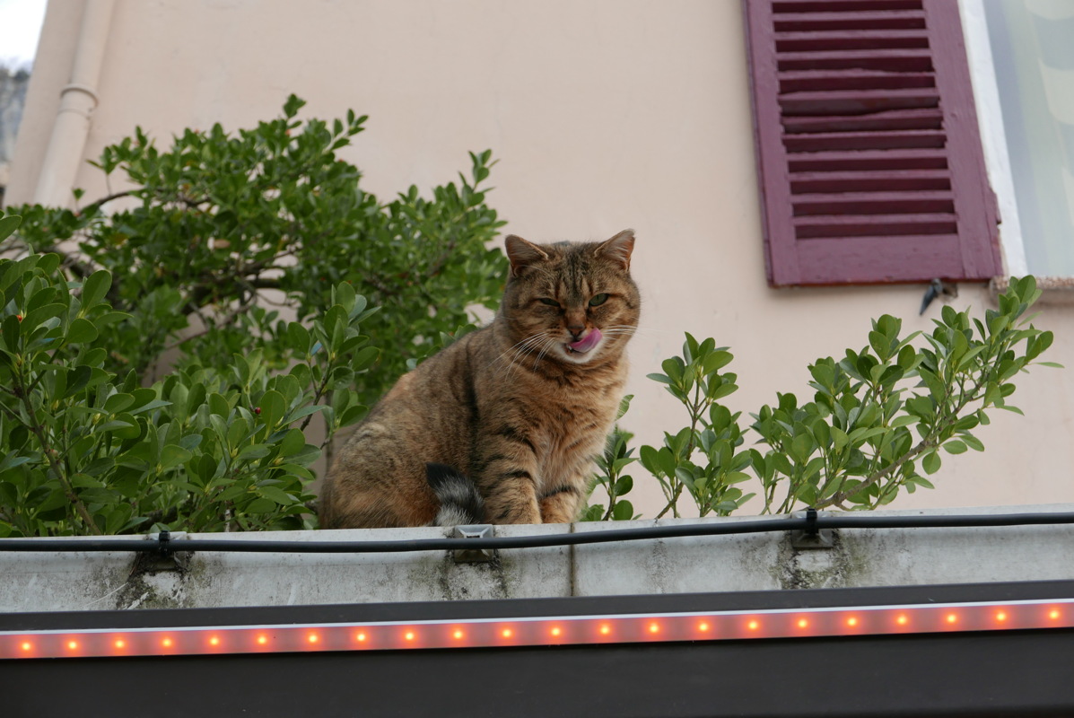 p1080837.jpg