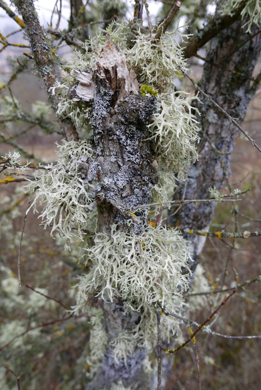 p1080874.jpg
