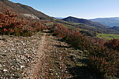 p1080769.jpg