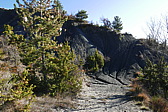 p1080771.jpg