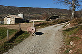 p1080780.jpg
