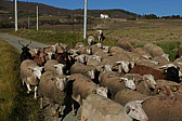 p1080783.jpg