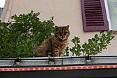 p1080837.jpg