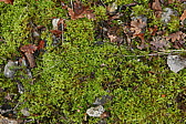 p1080868.jpg