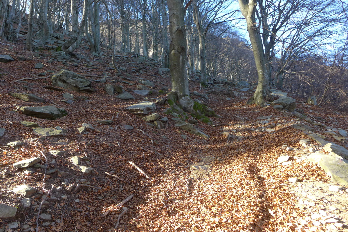 p1030752.jpg