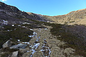 p1030746.jpg